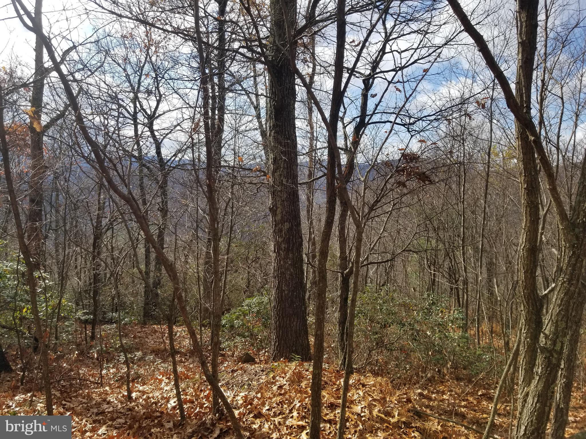 BUFFALO HILLS VISTA - Land