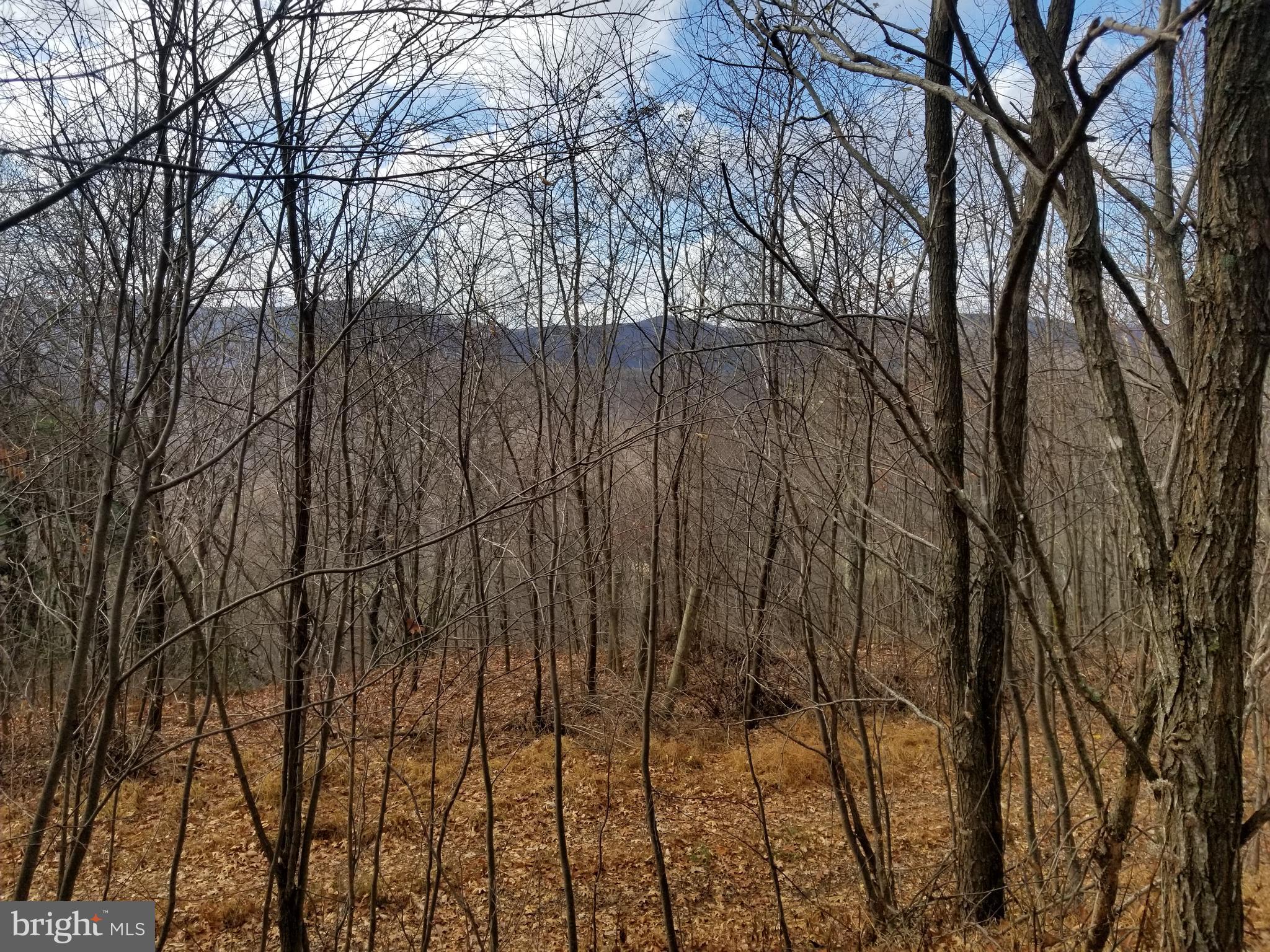 BUFFALO HILLS VISTA - Land