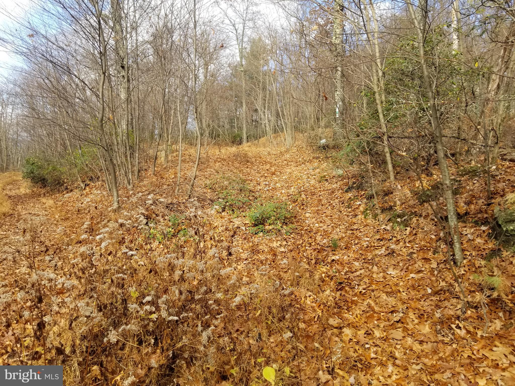 BUFFALO HILLS VISTA - Land