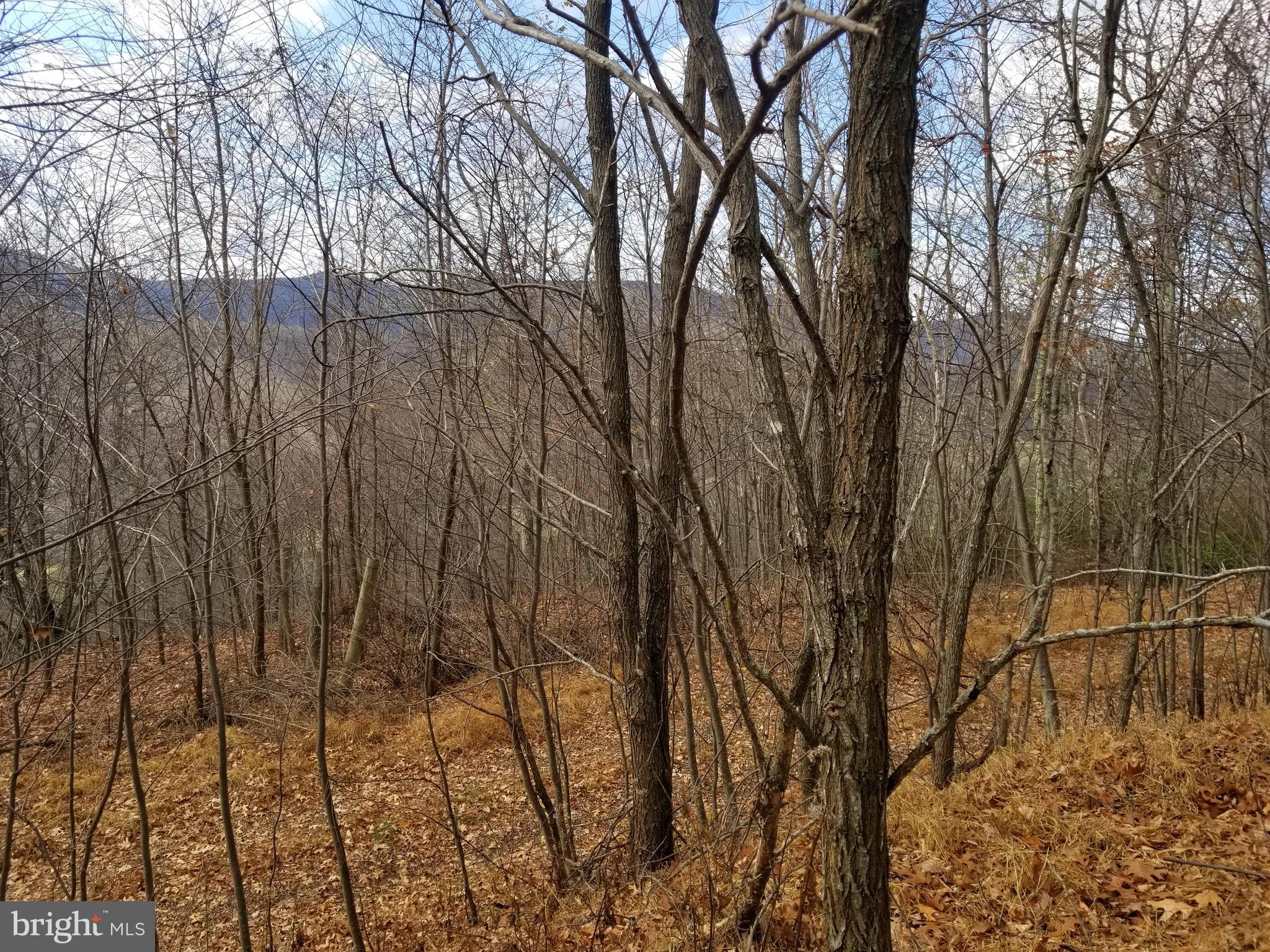 BUFFALO HILLS VISTA - Land