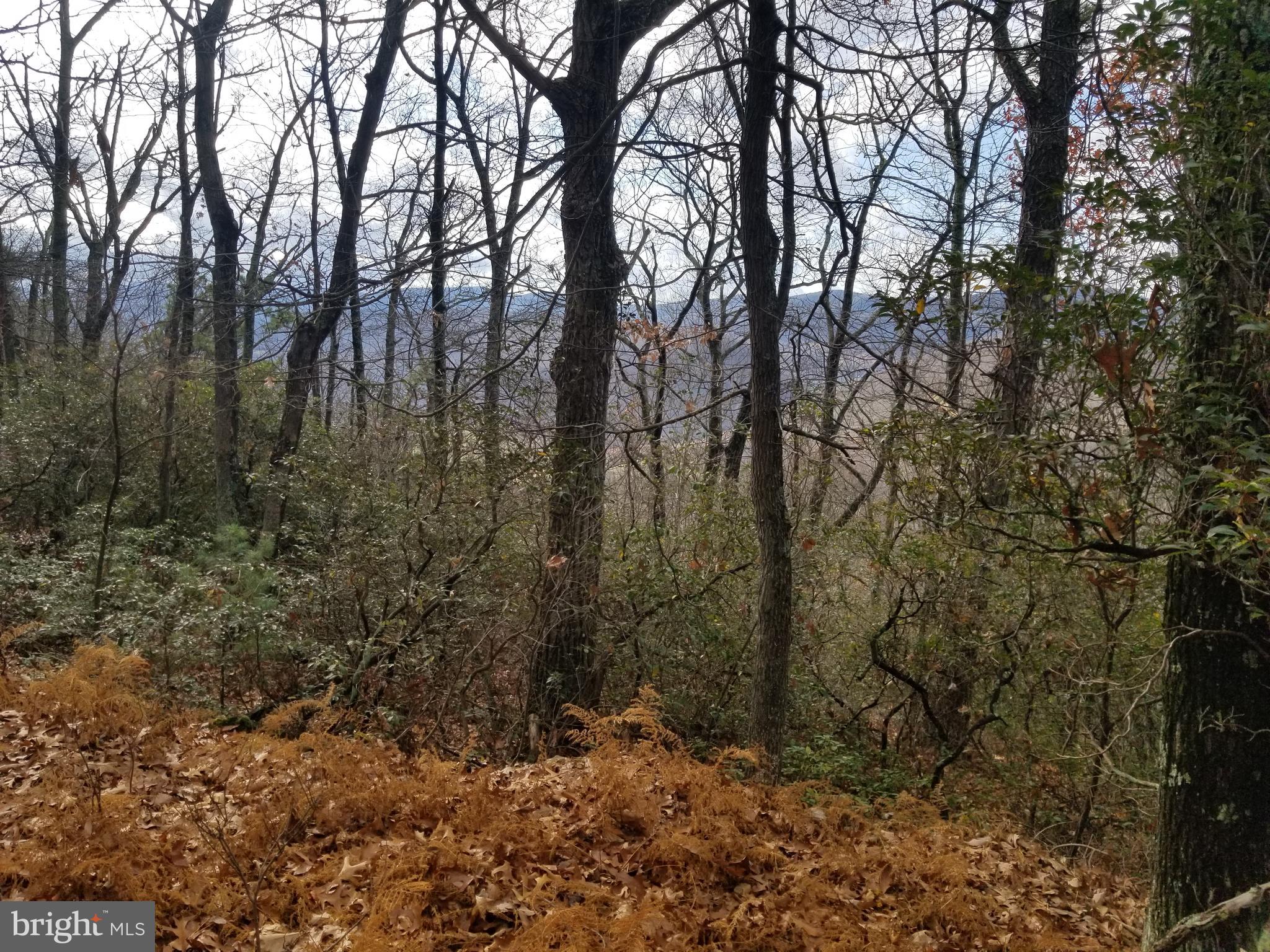 BUFFALO HILLS VISTA - Land