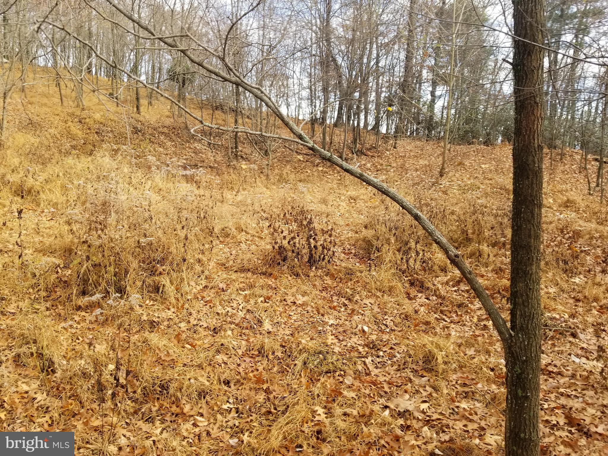 BUFFALO HILLS VISTA - Land