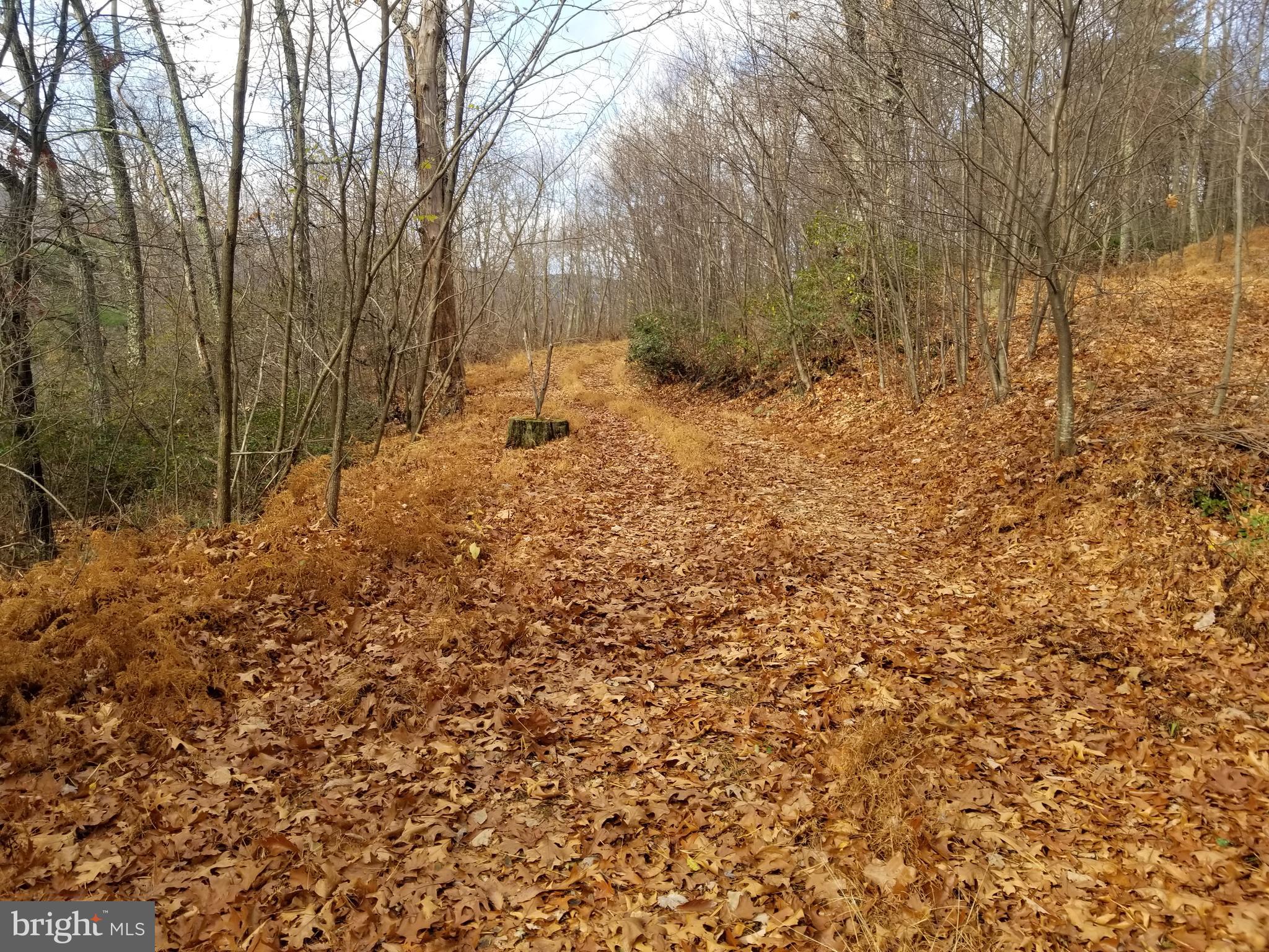 BUFFALO HILLS VISTA - Land