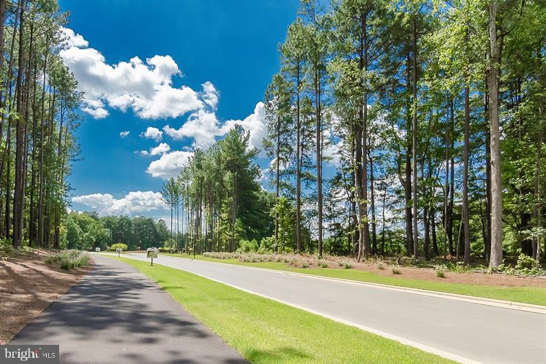 BALLENGER CREEK - Residential