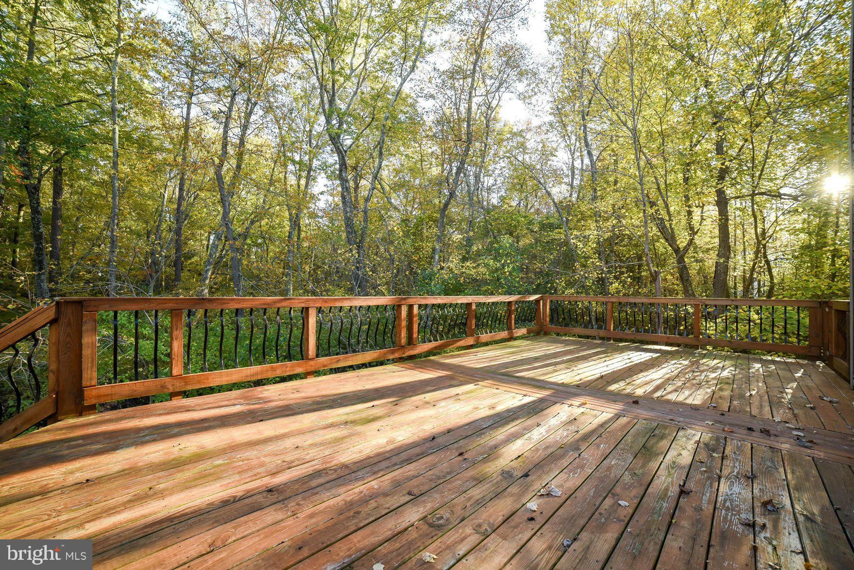 ESSEX SOUTH - Residential Lease