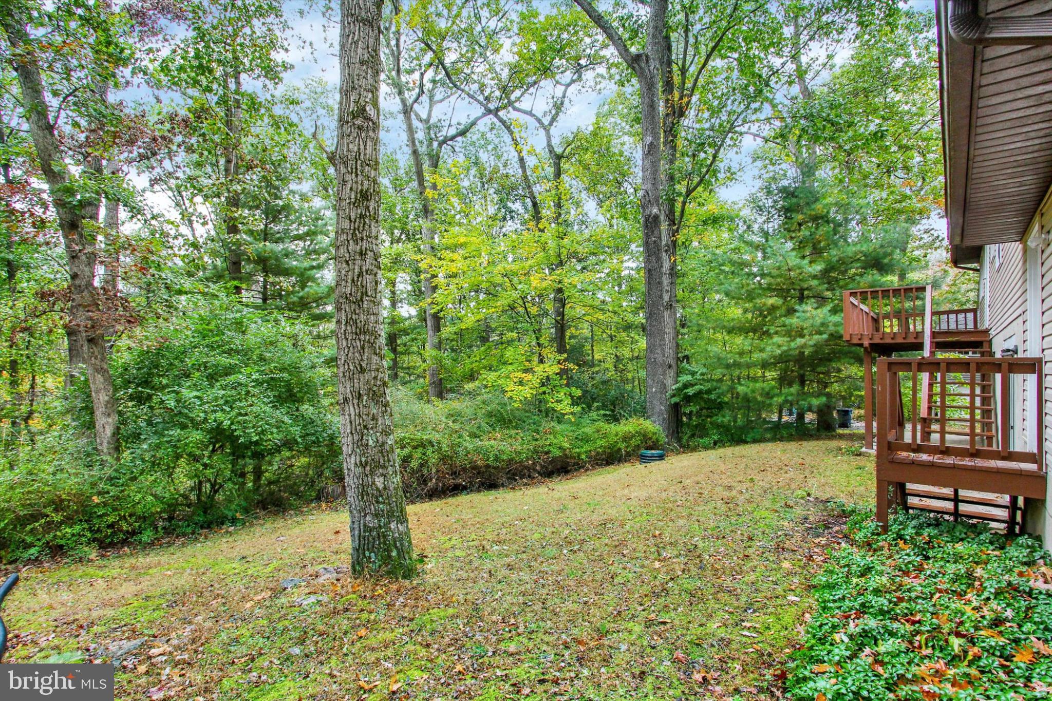 CARRIAGE HILLS - Residential