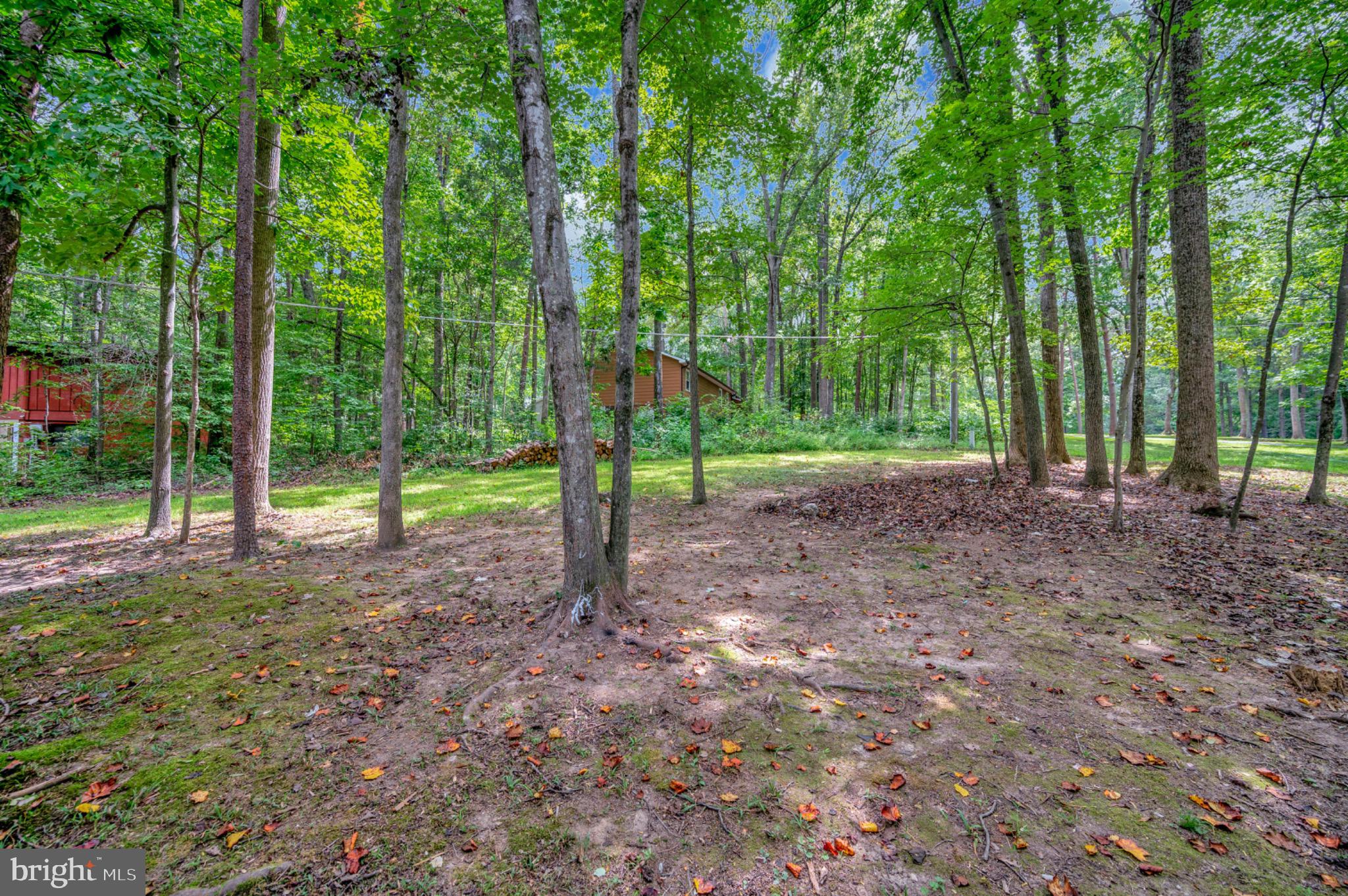 LAKE OF THE WOODS - Residential