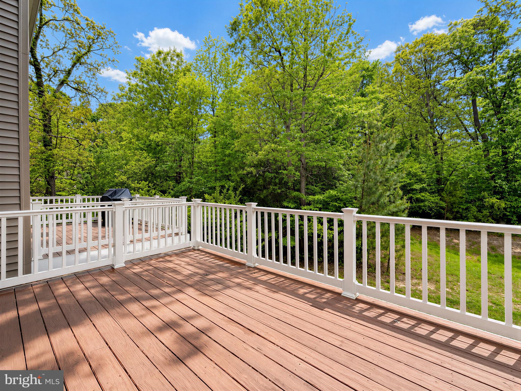 ORCHID PARK OF WILDEWOOD - Residential