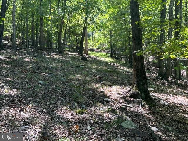 SHADOW KNOLLS - Land