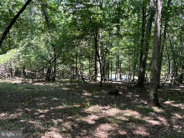 SHADOW KNOLLS - Land