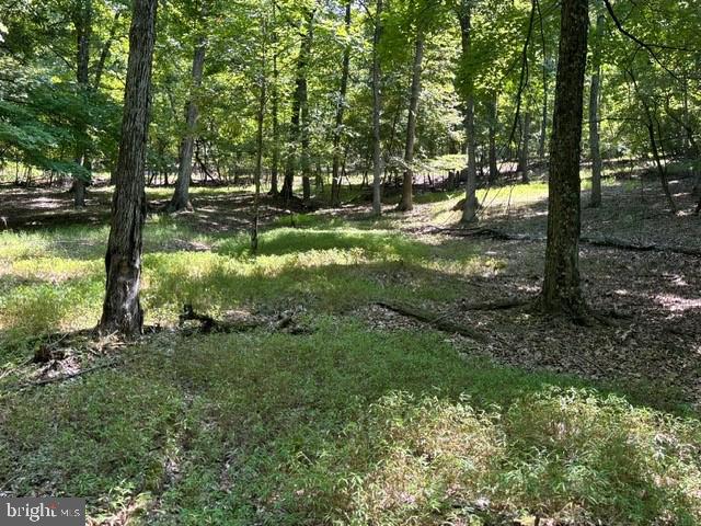 SHADOW KNOLLS - Land