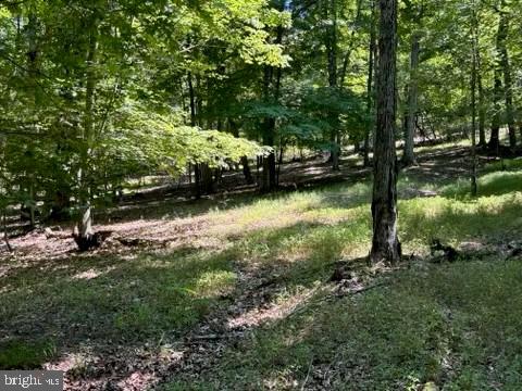 SHADOW KNOLLS - Land