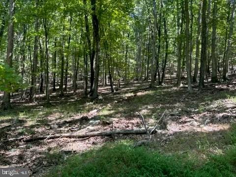 SHADOW KNOLLS - Land