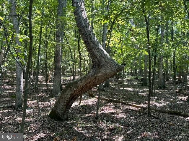 SHADOW KNOLLS - Land