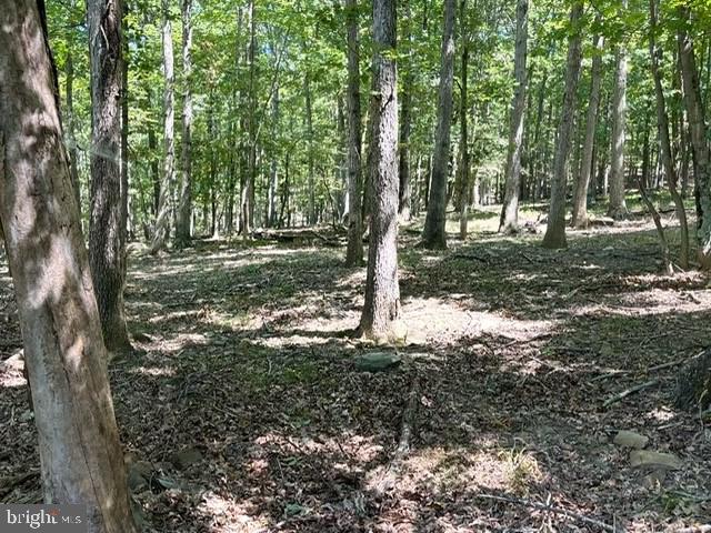 SHADOW KNOLLS - Land