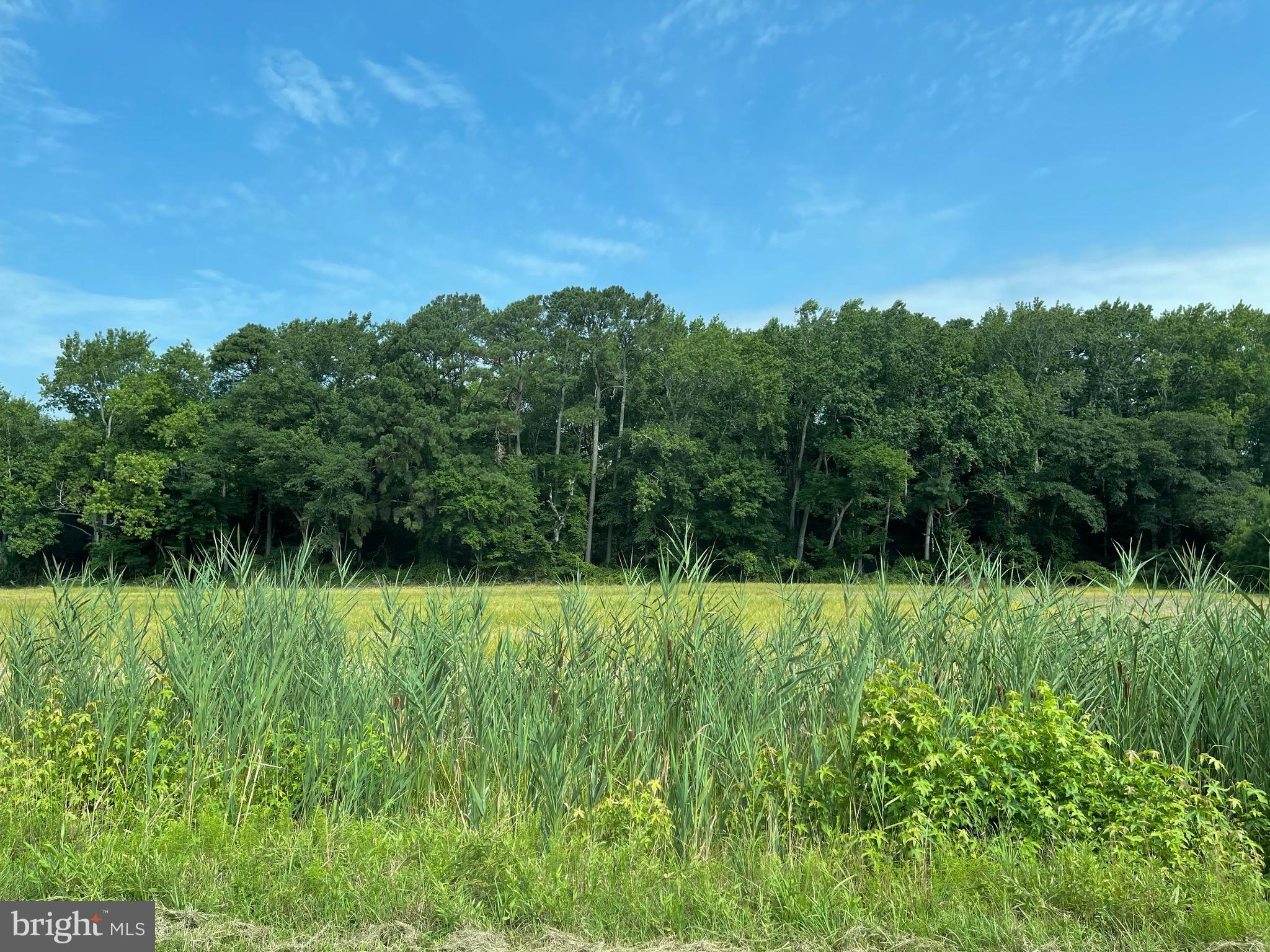 Lot 4 CAMPBELLTOWN ROAD