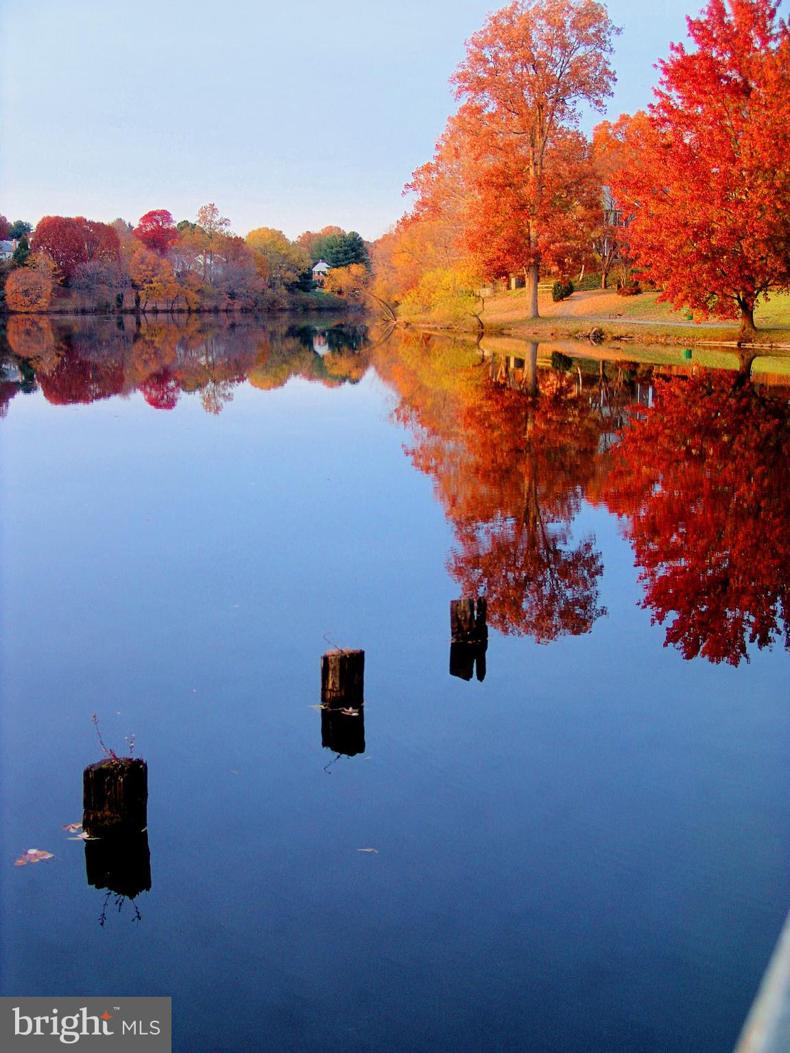 LAKE BRADDOCK - Residential