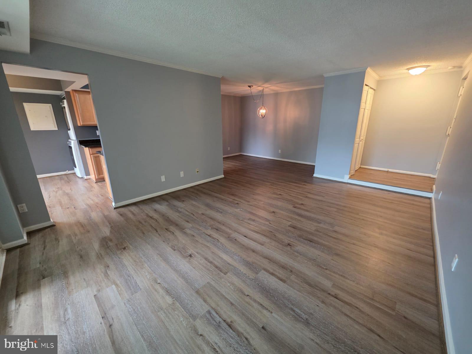 10223 VALENTINO DRIVE 7323