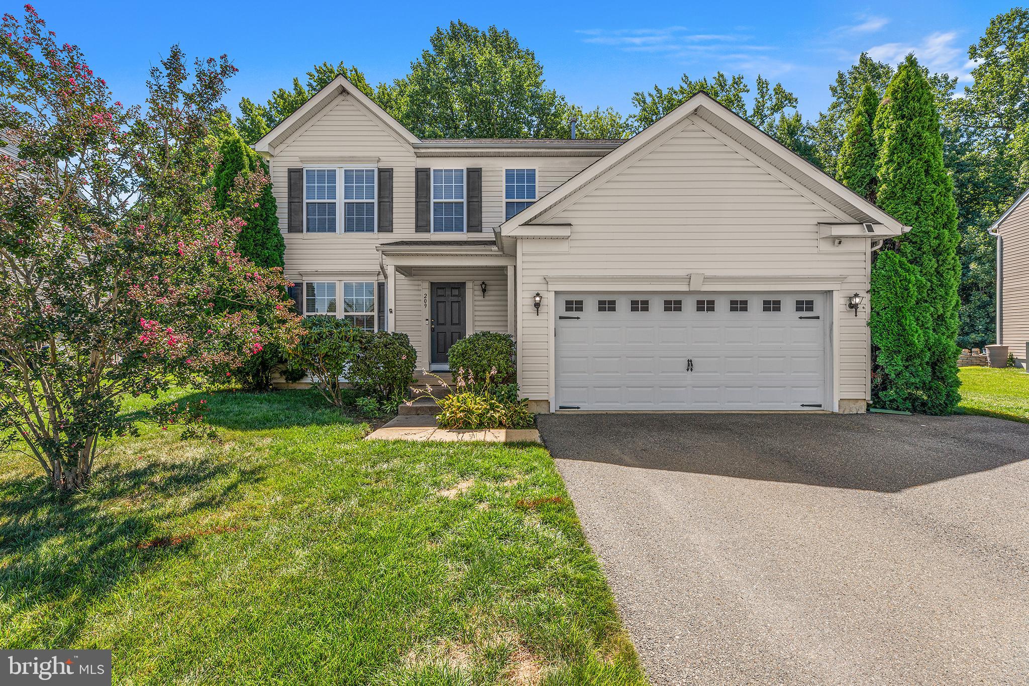 209 LONE TREE DRIVE