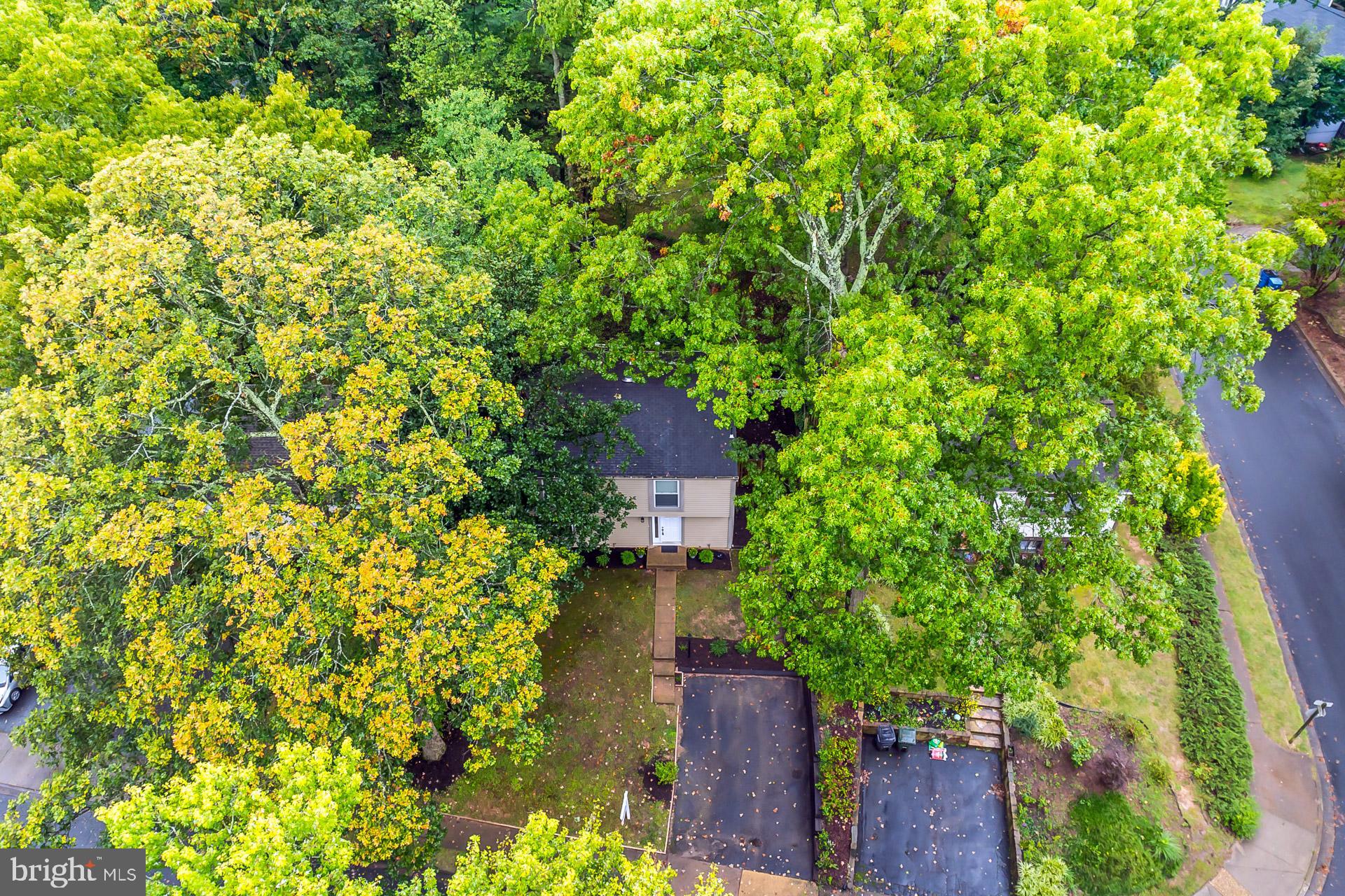 11565 SHADBUSH COURT