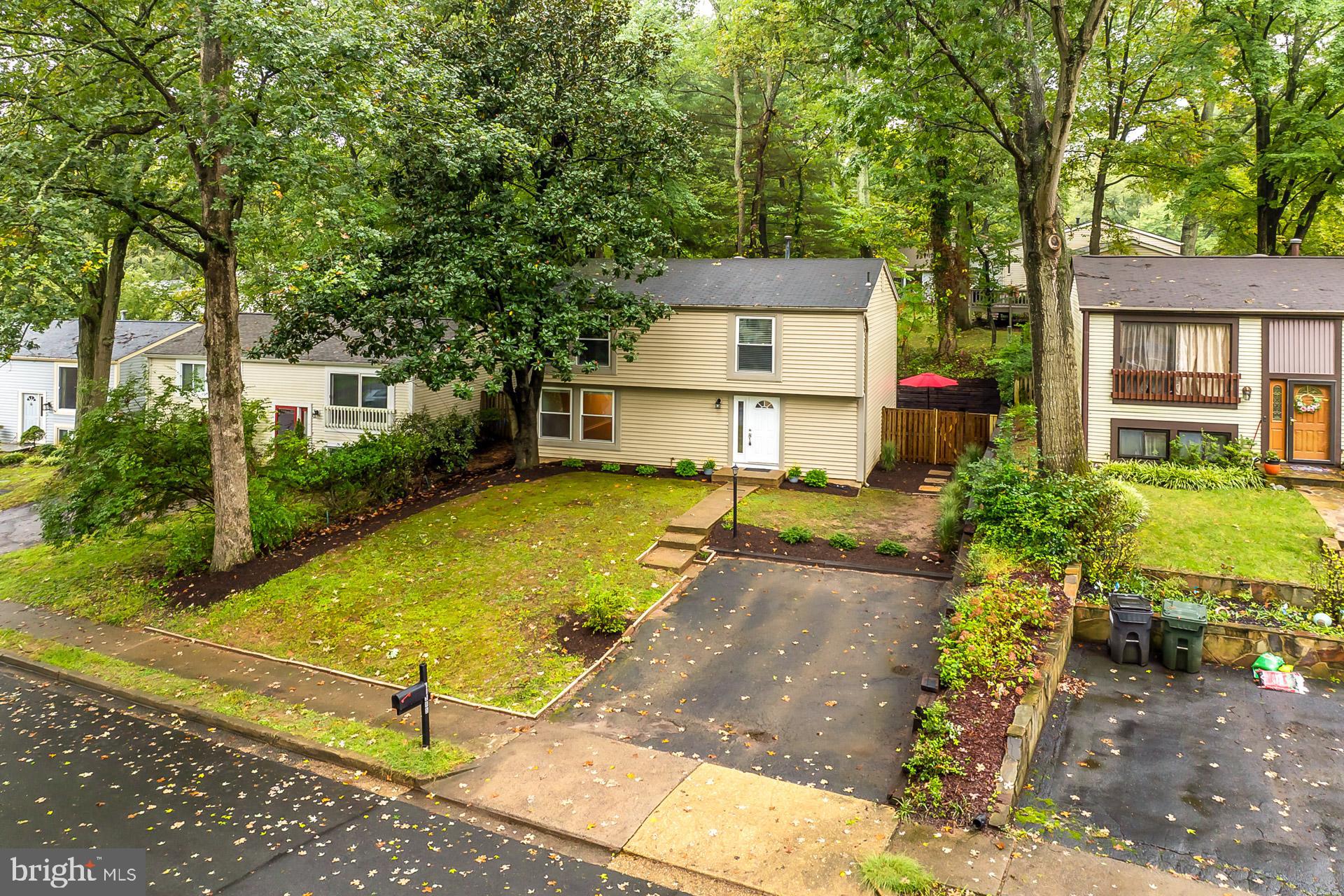 11565 SHADBUSH COURT