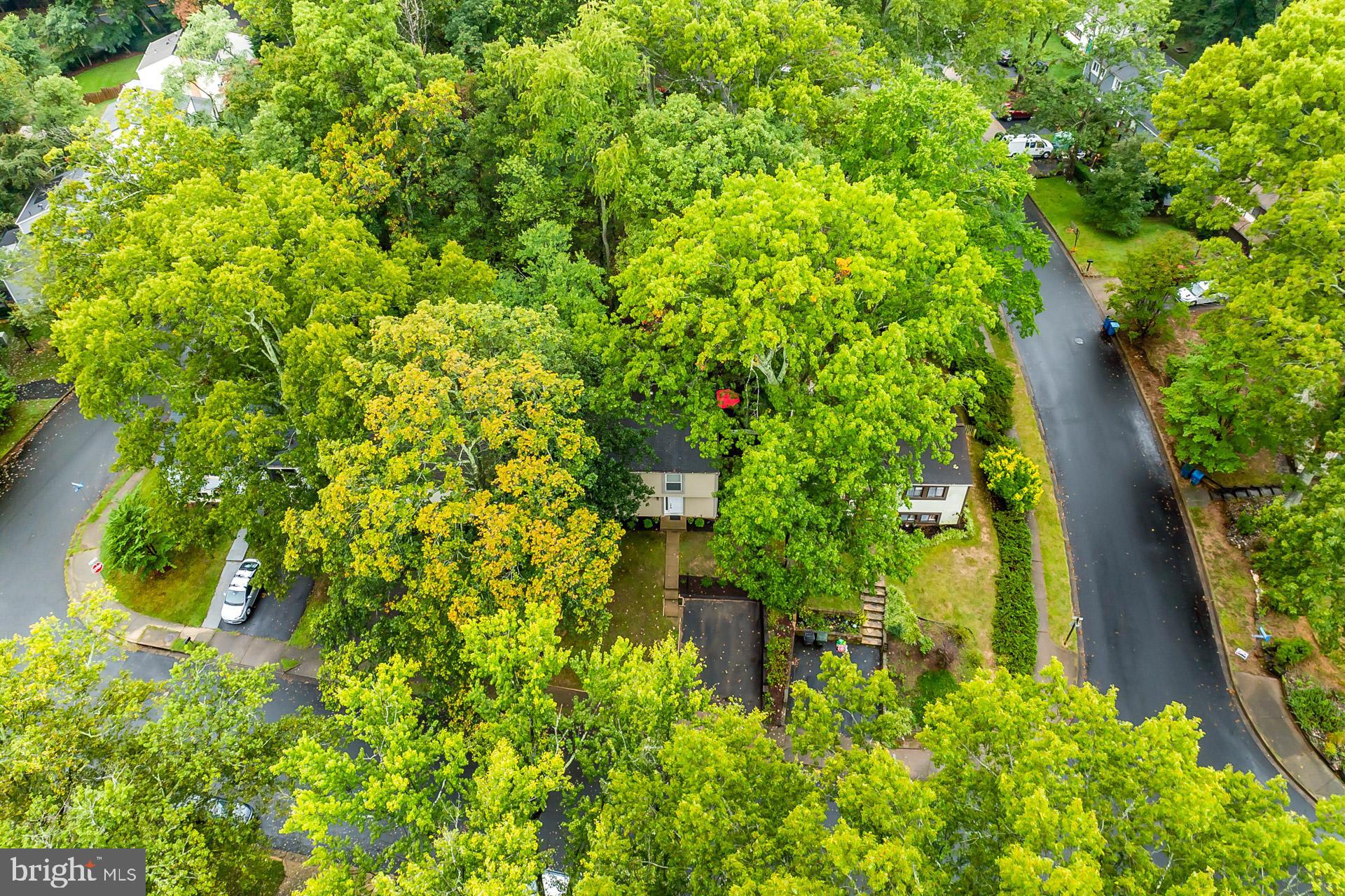 11565 SHADBUSH COURT