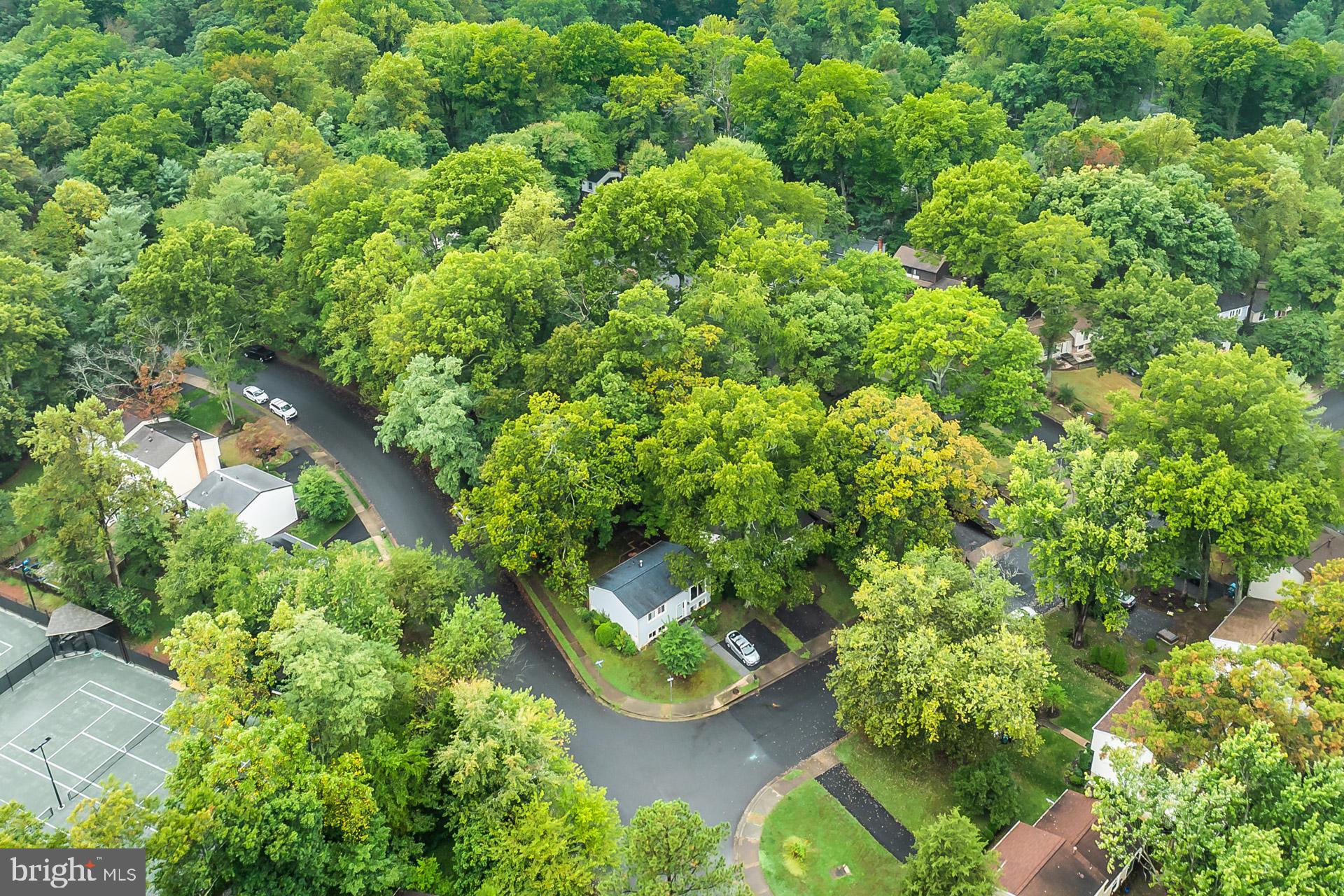 11565 SHADBUSH COURT