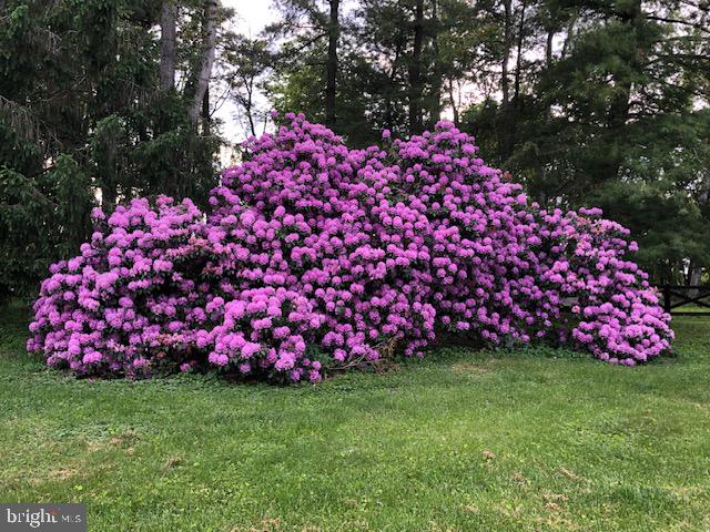 CUNNINGHAM ACRES - Farm