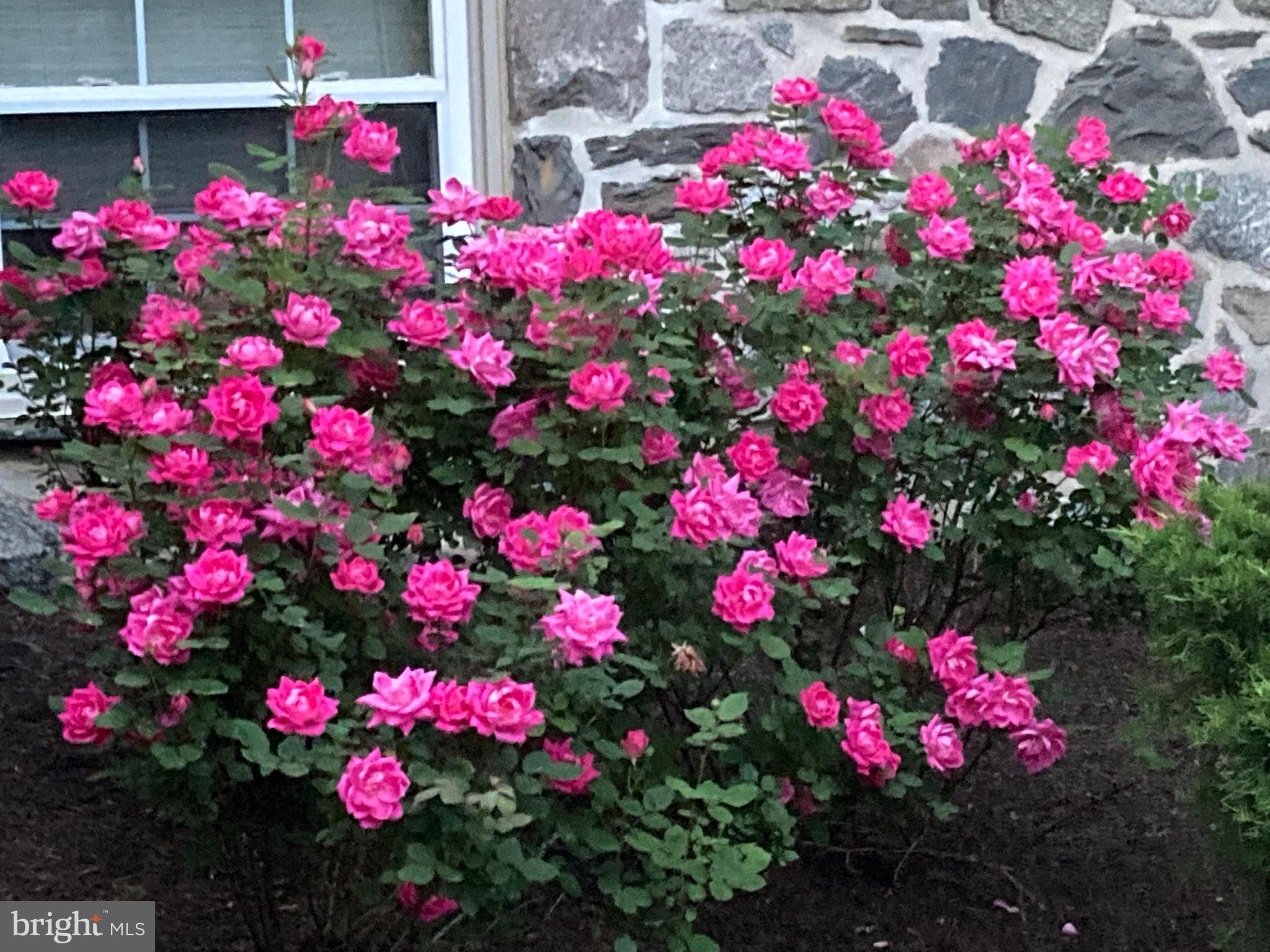 WYNNEWOOD - Residential