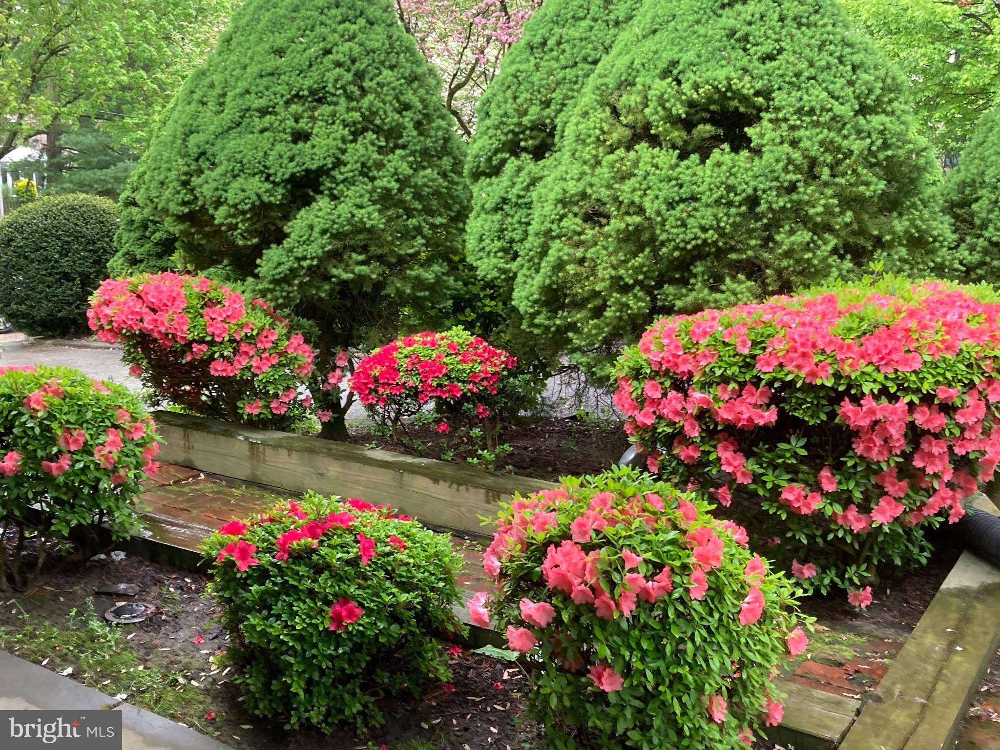 WYNNEWOOD - Residential