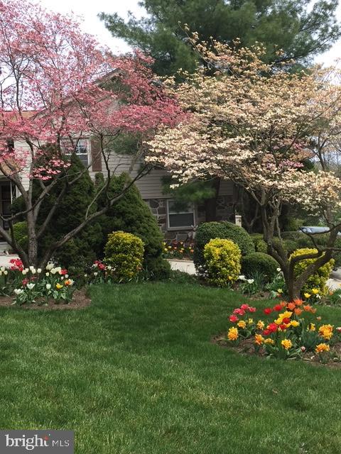 WYNNEWOOD - Residential