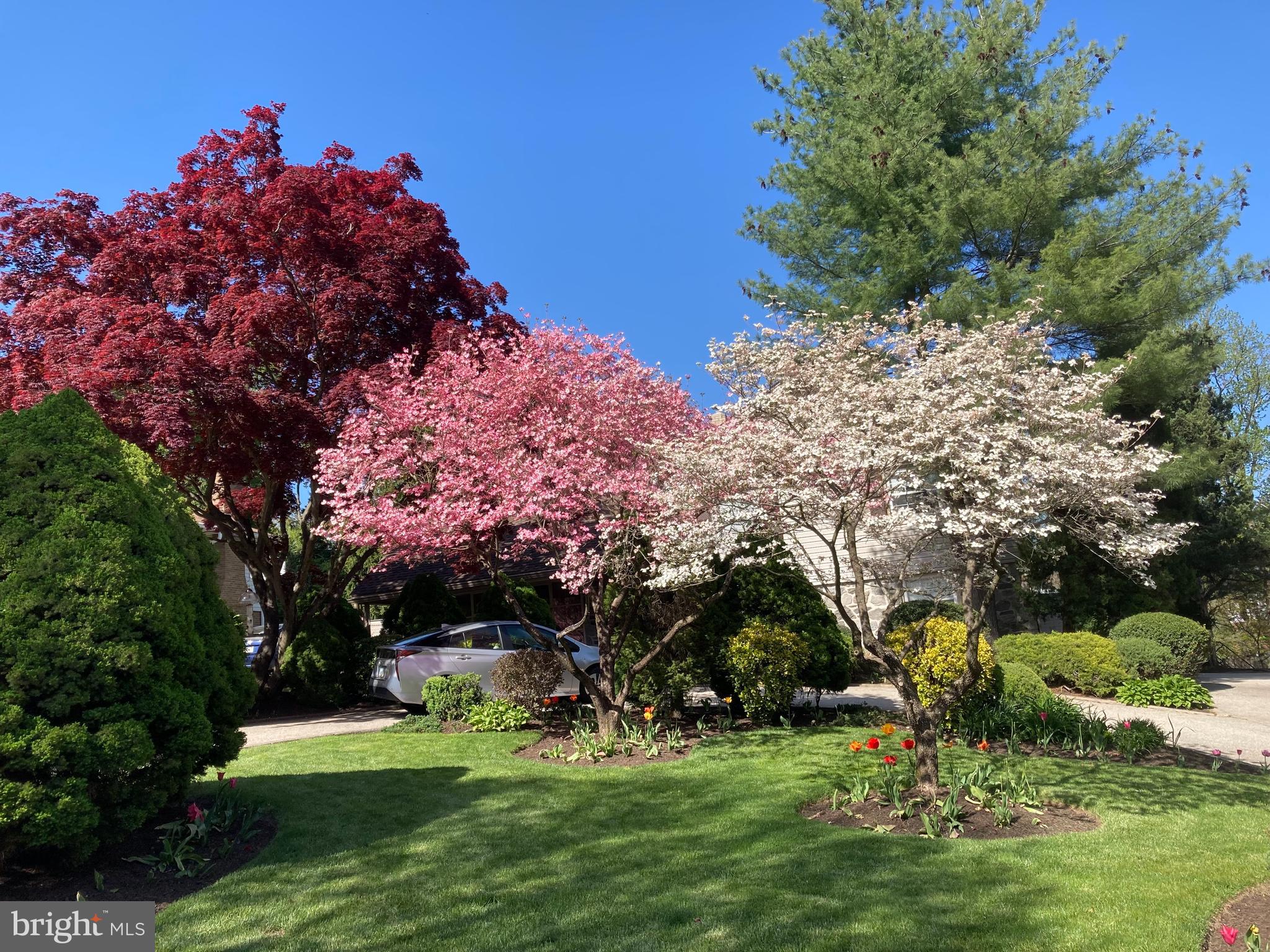 WYNNEWOOD - Residential