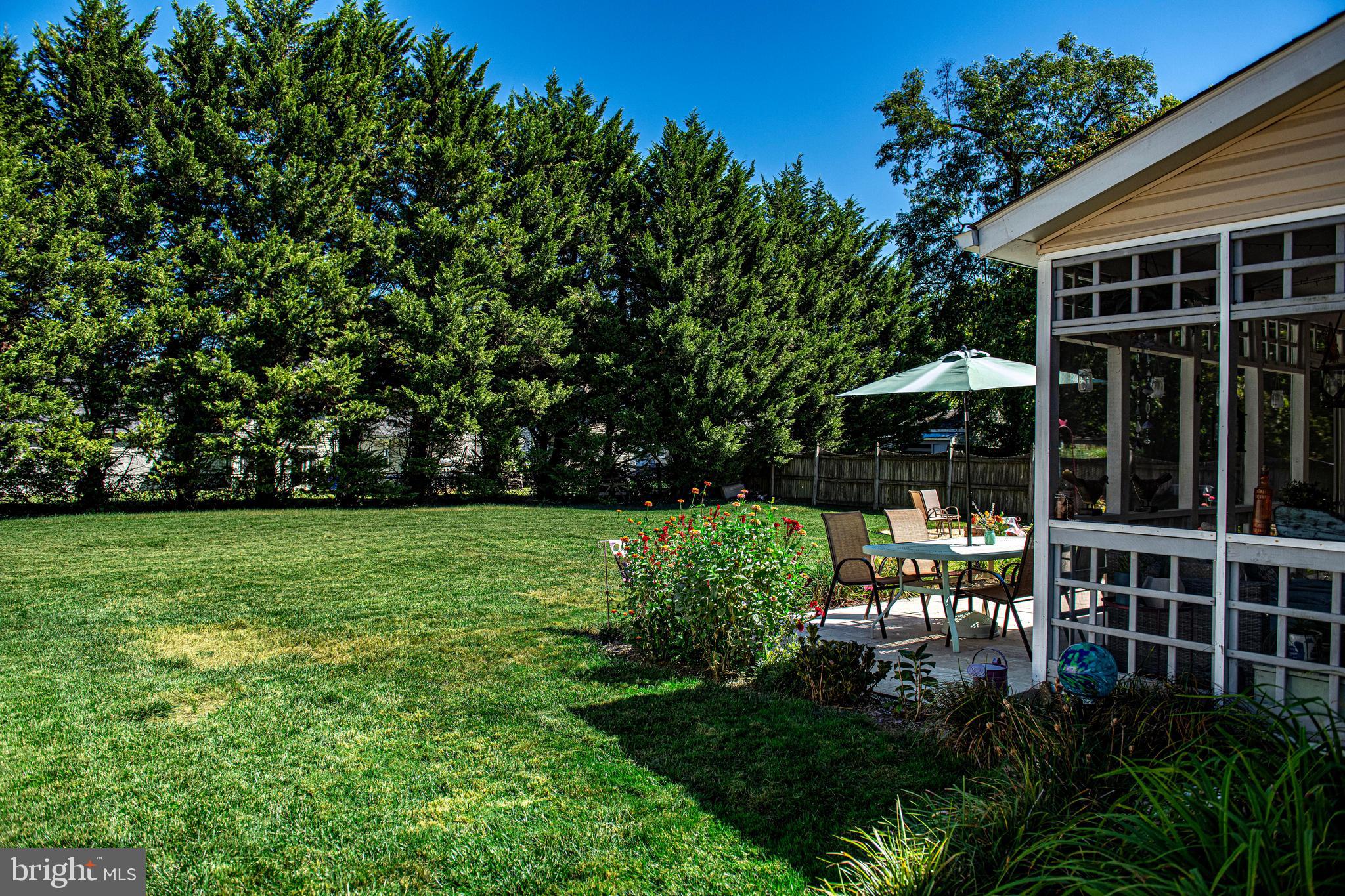 WEBSTER VILLAGE - Residential