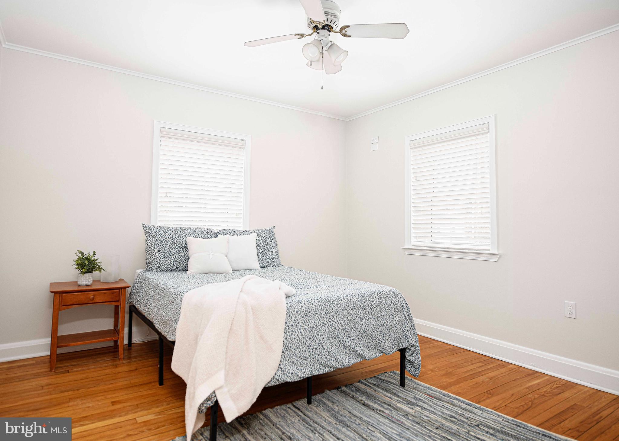 WEBSTER VILLAGE - Residential