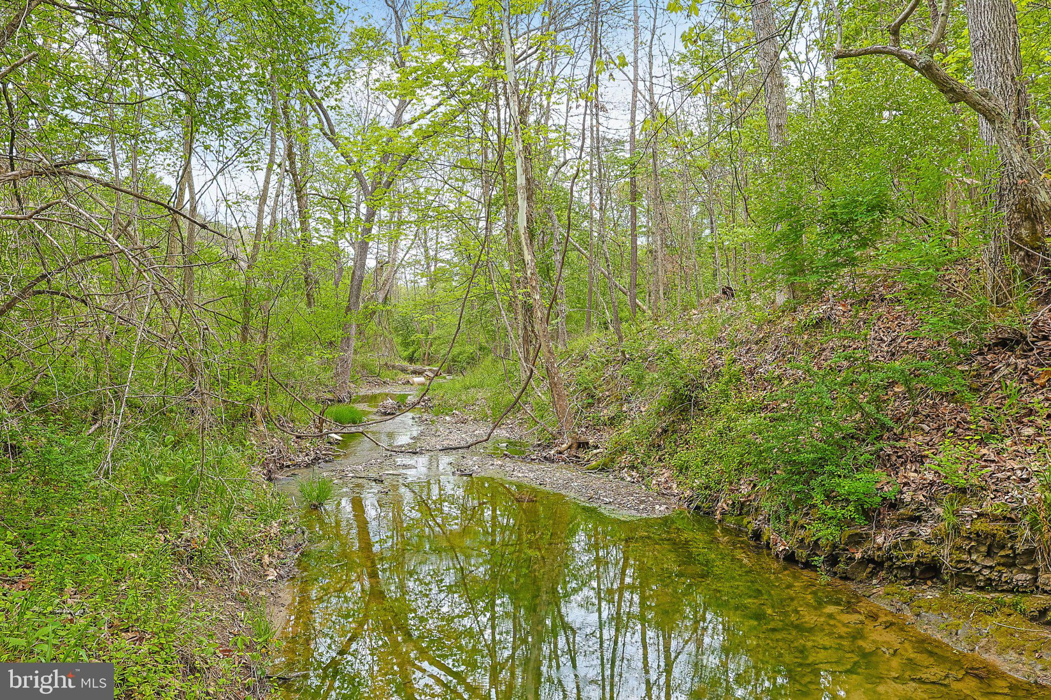 BEAR HILL ROAD SE