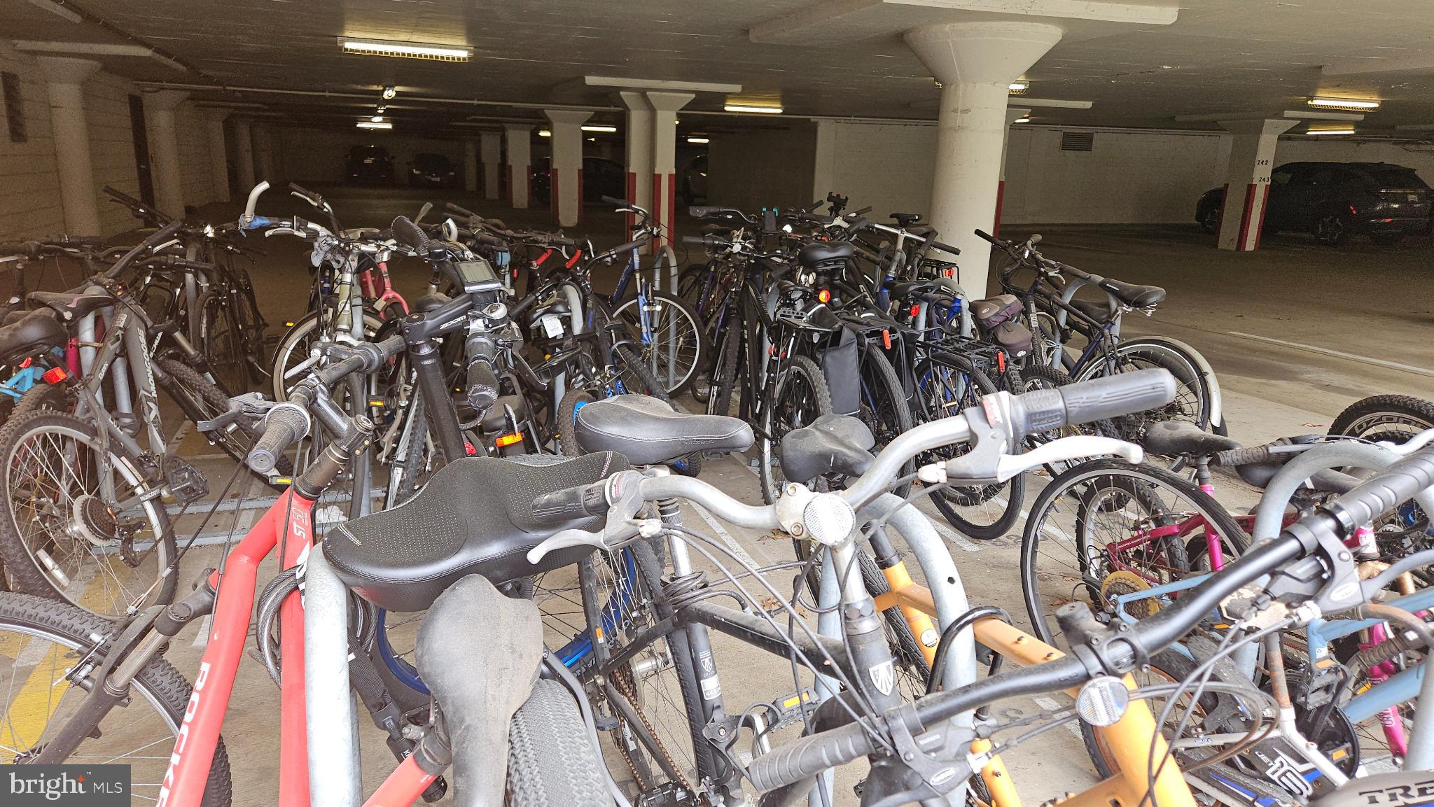 THE CARLTON - Residential