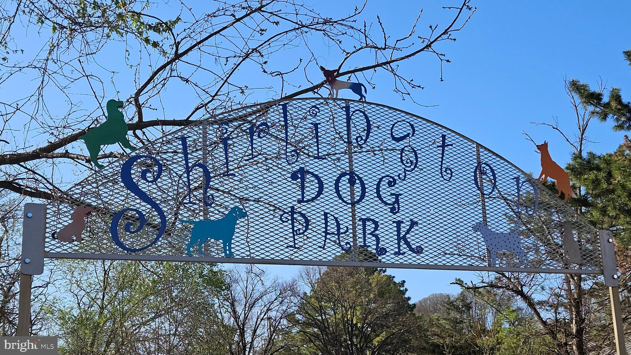 THE CARLTON - Residential