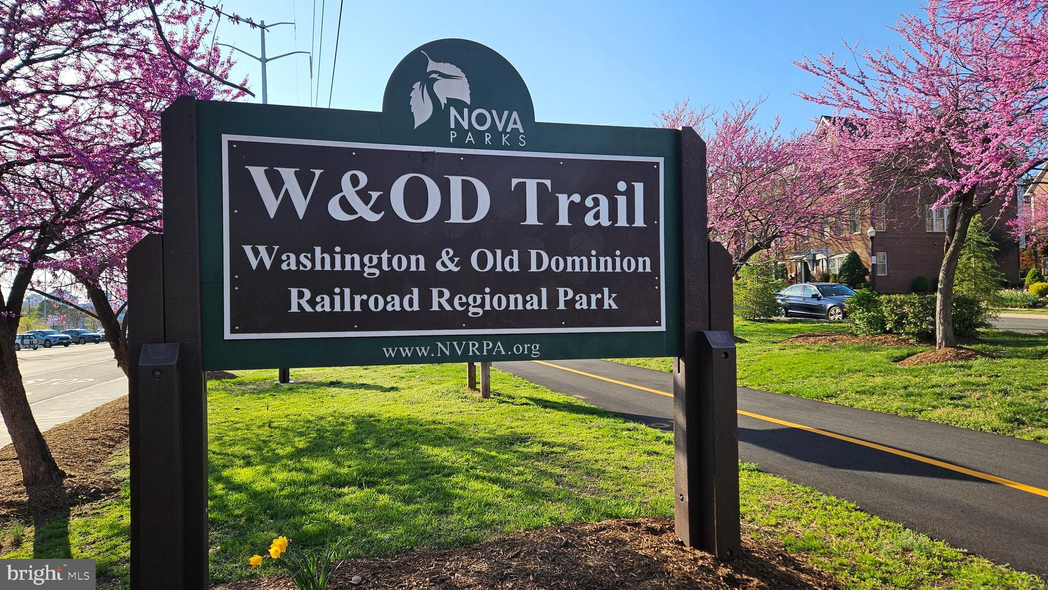 THE CARLTON - Residential