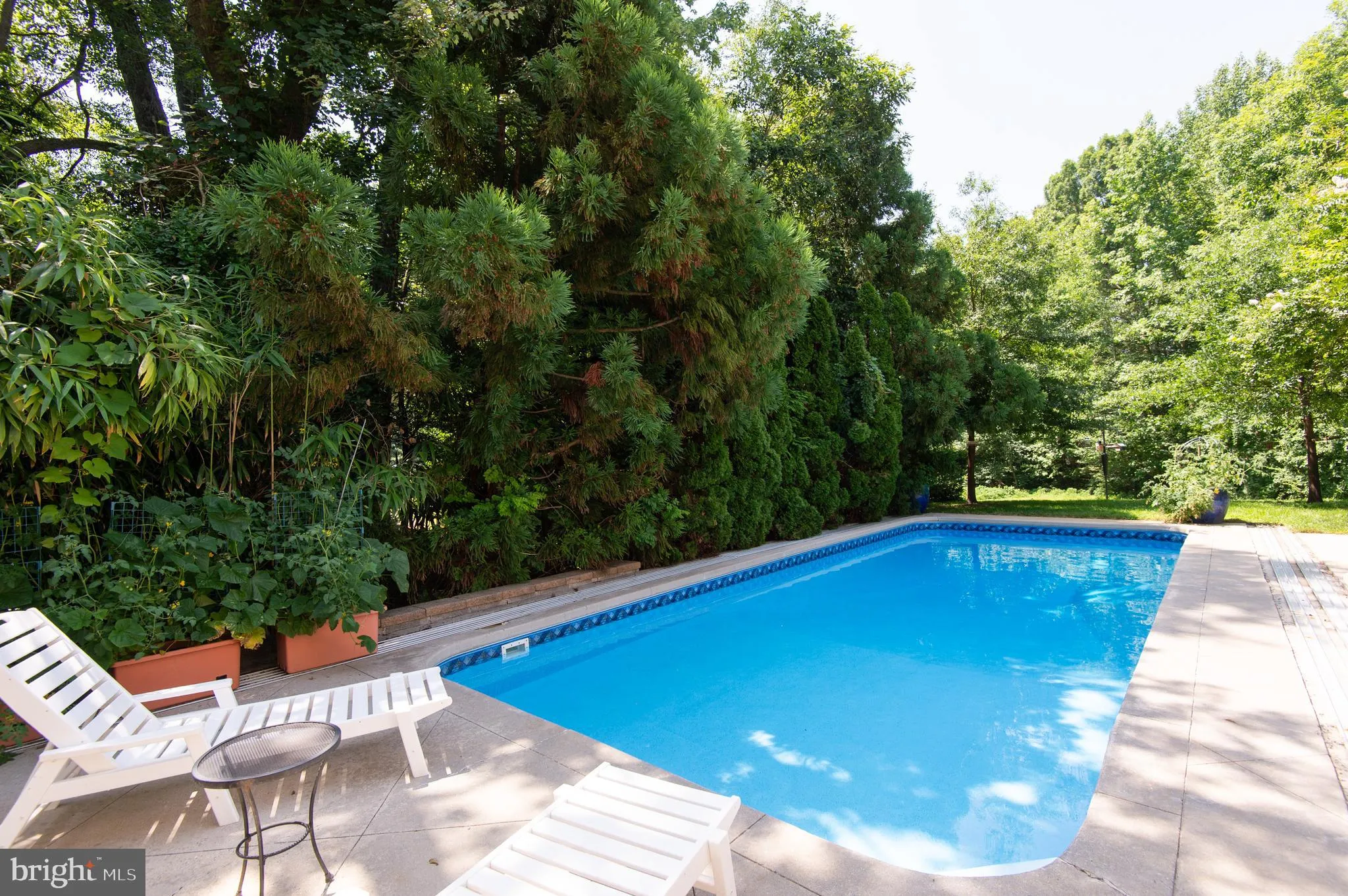 Additional image 142 of 5427 Royal Mile Boulevard, Salisbury, MD 21801