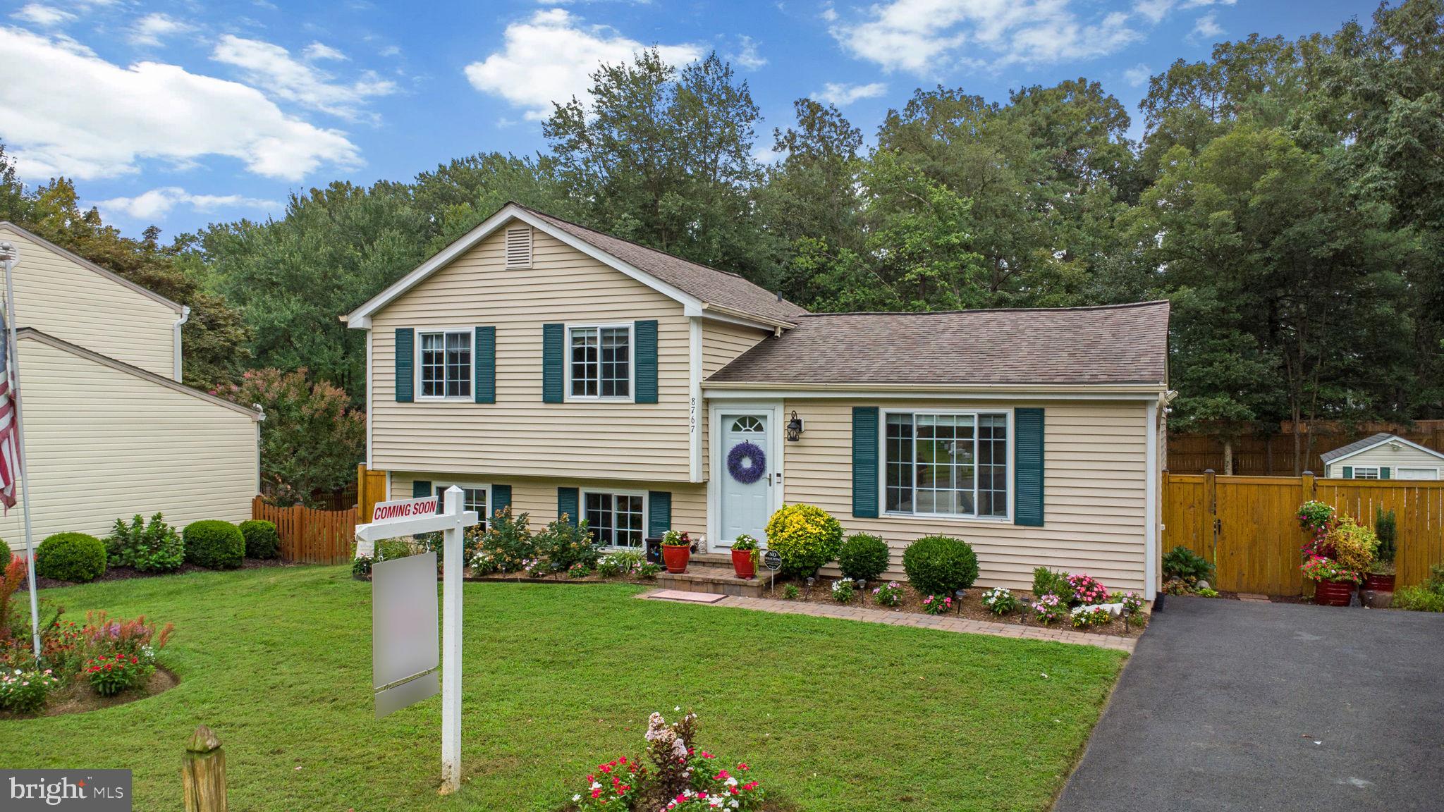 8767 COLD PLAIN COURT