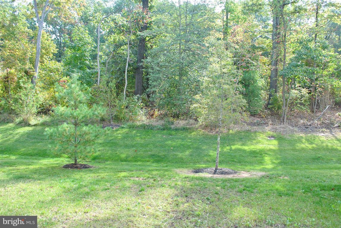 TANYARD SPRINGS - Residential Lease