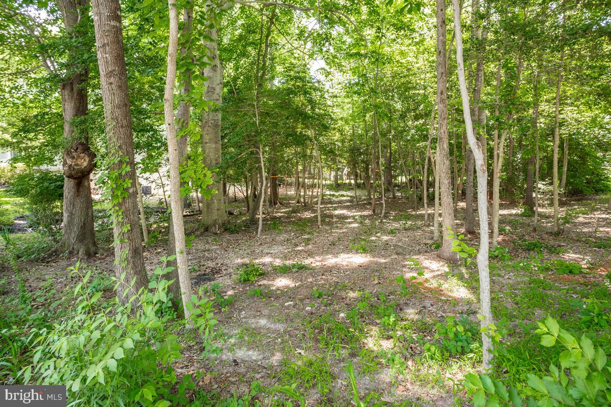 PEPPER RIDGE OF WILDEWOOD - Residential