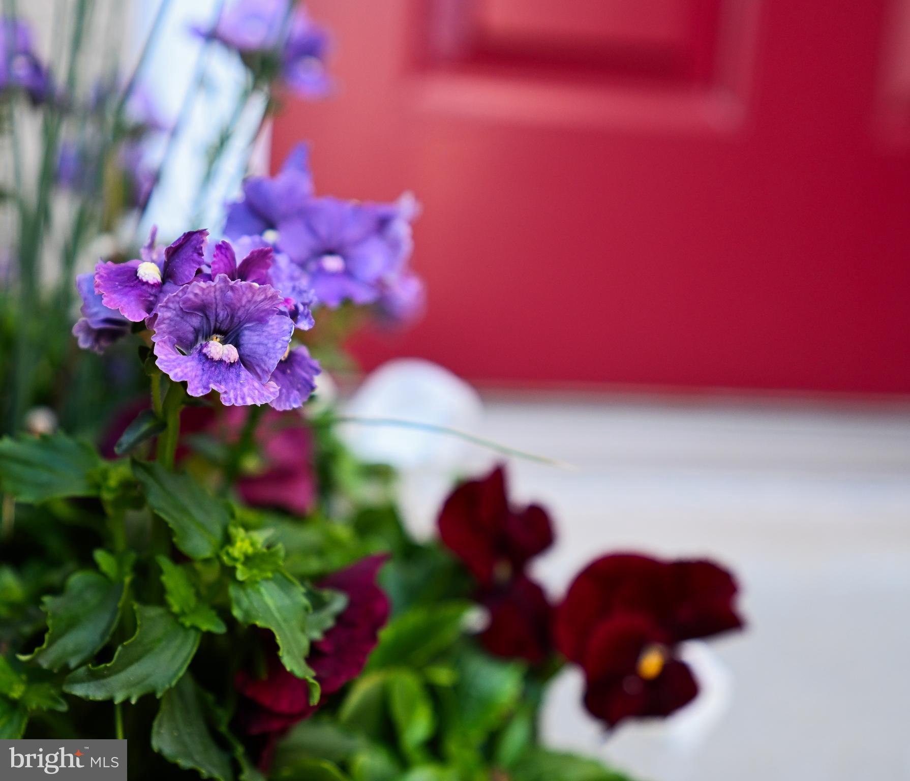 WORINGTON COMMONS - Residential