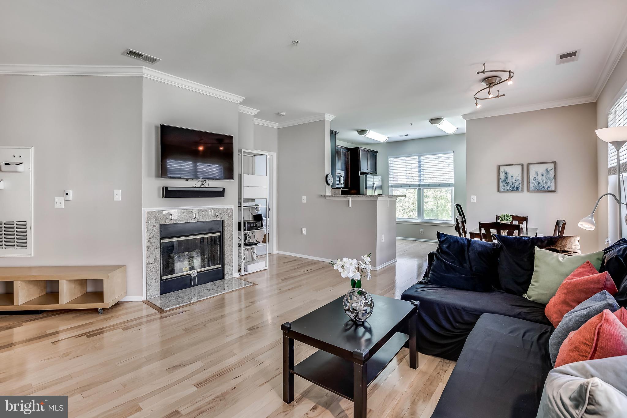 WHITE FLINT STATION - Residential