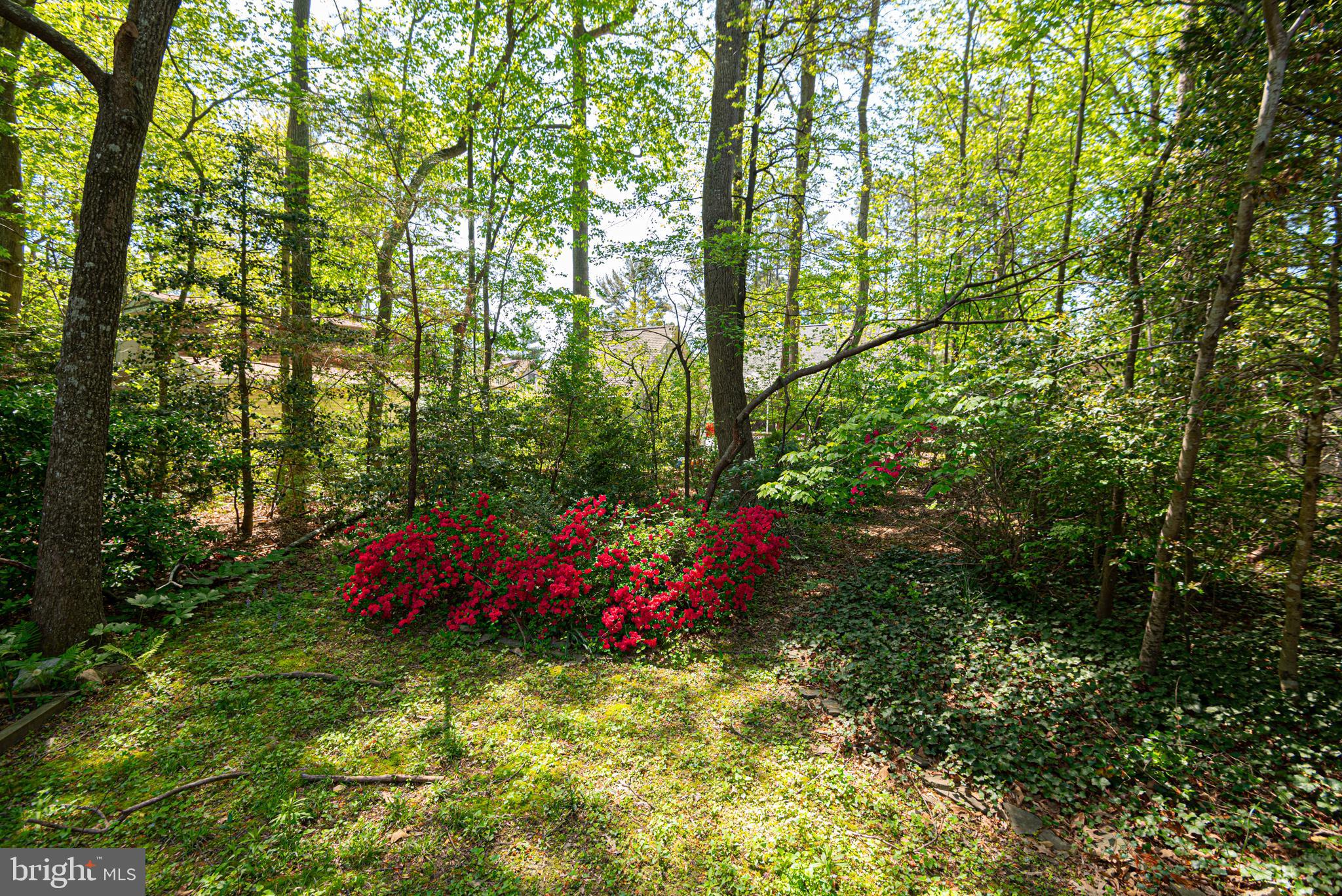 OCEAN PINES - NANTUCKET - Residential