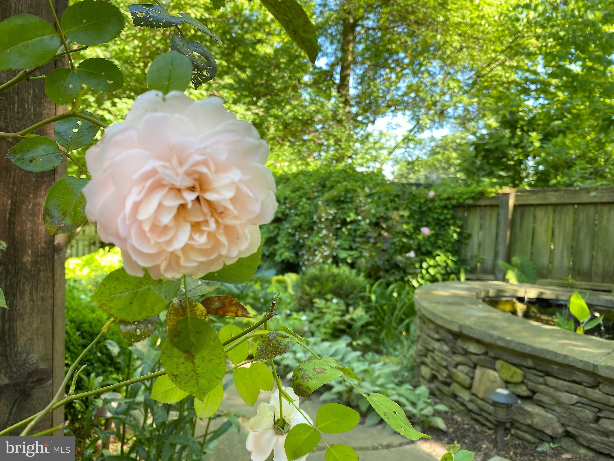 ROLAND PARK - Residential