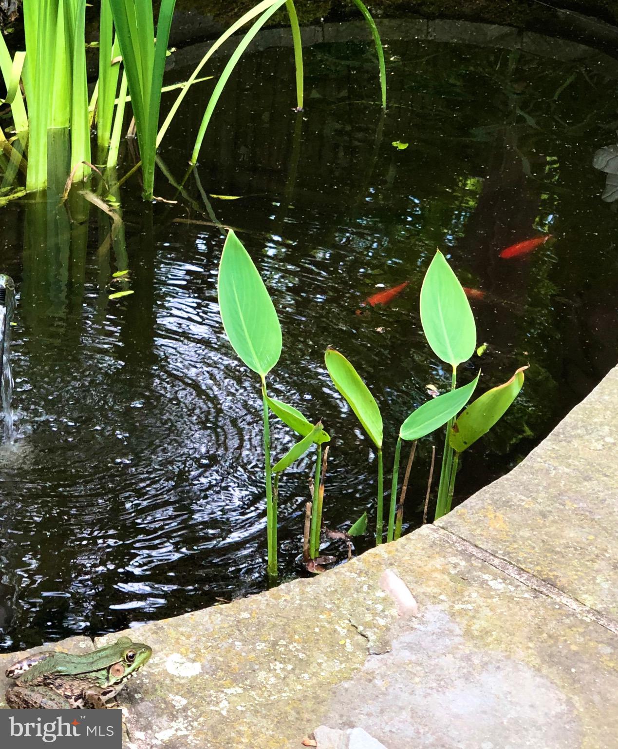 ROLAND PARK - Residential