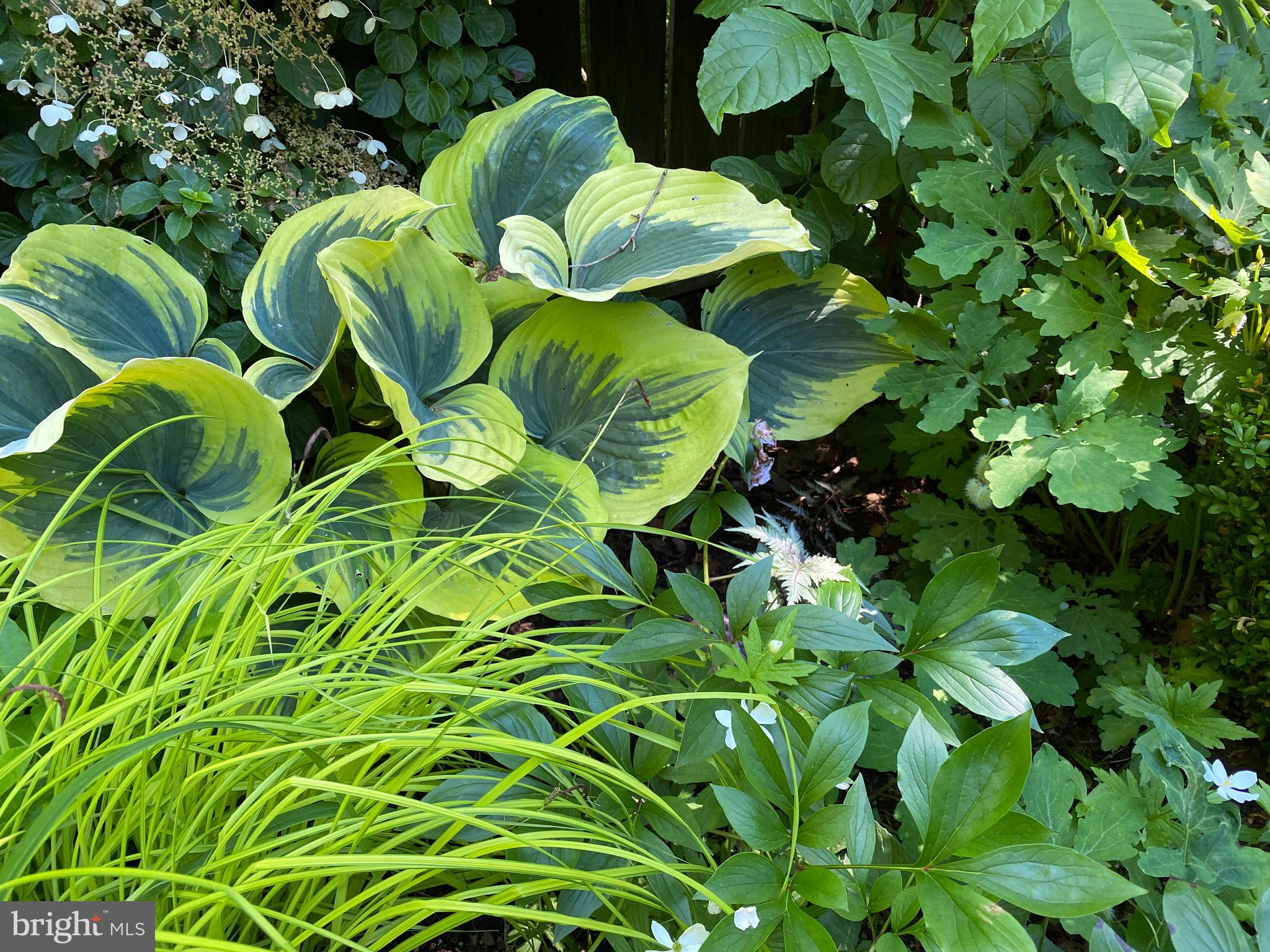 ROLAND PARK - Residential