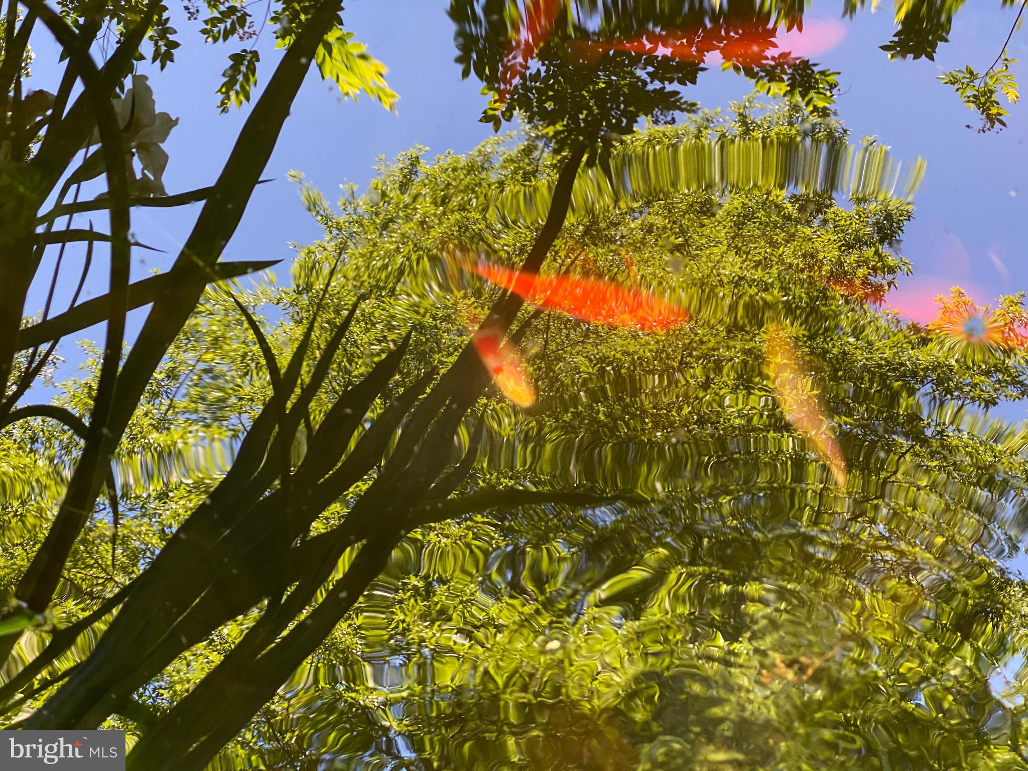 ROLAND PARK - Residential