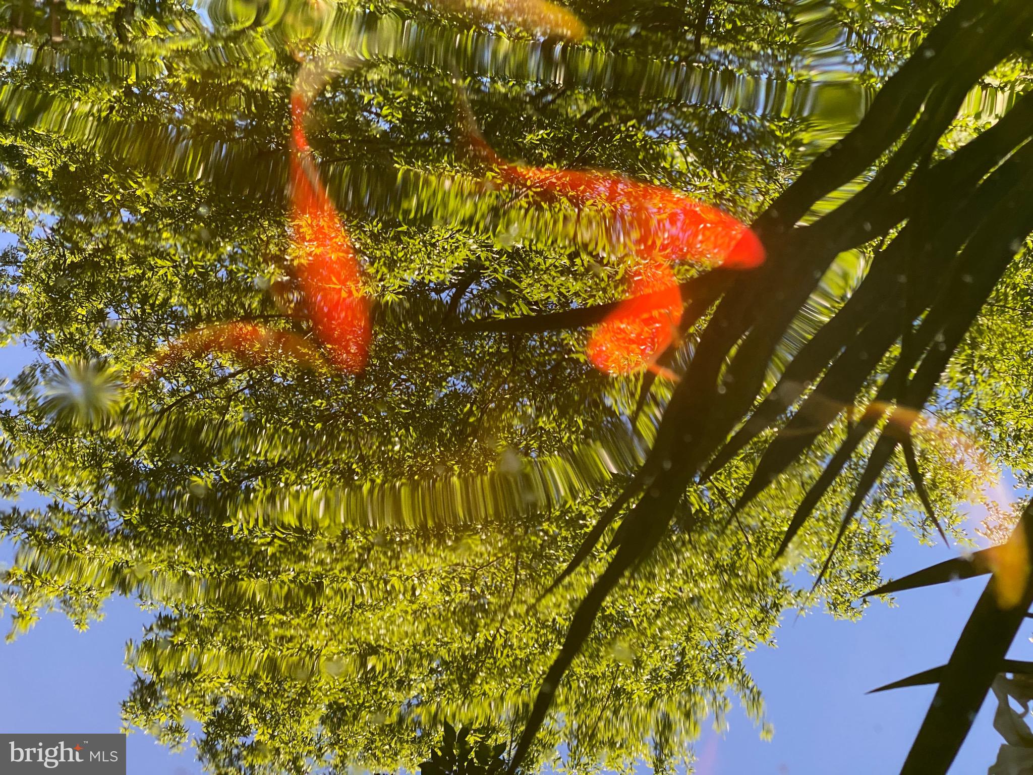 ROLAND PARK - Residential